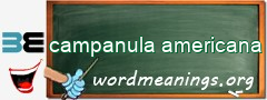 WordMeaning blackboard for campanula americana